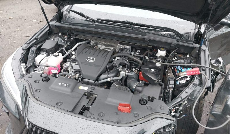 
								Lexus NX 350 full									