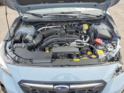 
										Subaru Crosstrek full									