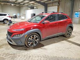 
										Hyundai Kona full									