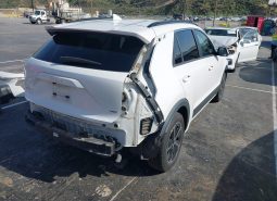 
										Kia Niro full									