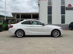 
										2014 BMW 2 Series, 228 I full									