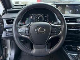 
										2020 Lexus UX 250H full									