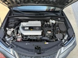 
										2020 Lexus UX 250H full									