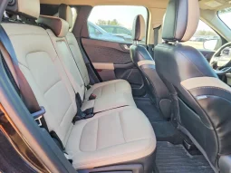 
										Ford Escape full									