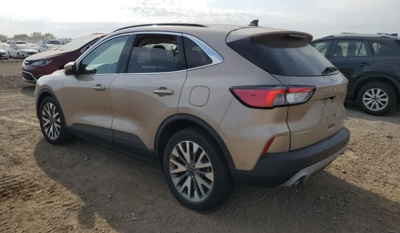 
								Ford Escape full									