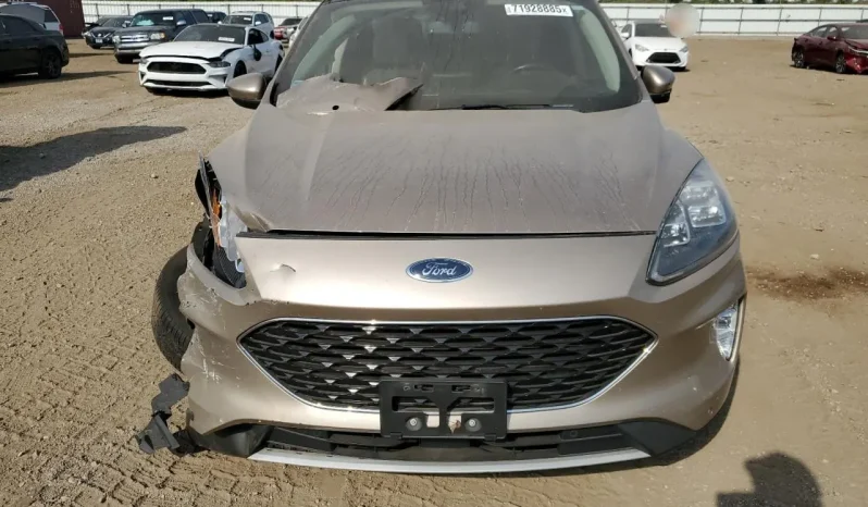 
								Ford Escape full									