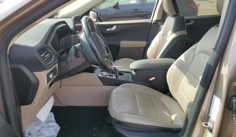 
								Ford Escape full									