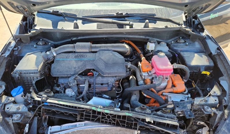 
								Kia Sportage full									
