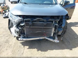 
										Toyota RAV4 full									