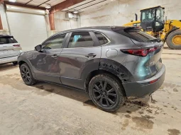 
										Mazda CX-30 full									