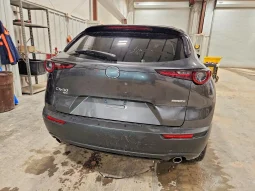 
										Mazda CX-30 full									