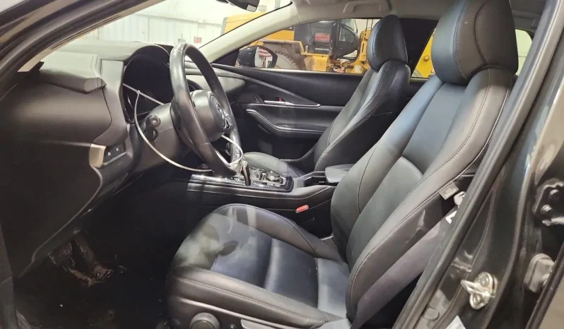 
								Mazda CX-30 full									