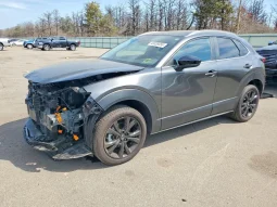 
										Mazda CX-30 full									