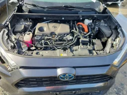 
										Toyota RAV4 full									