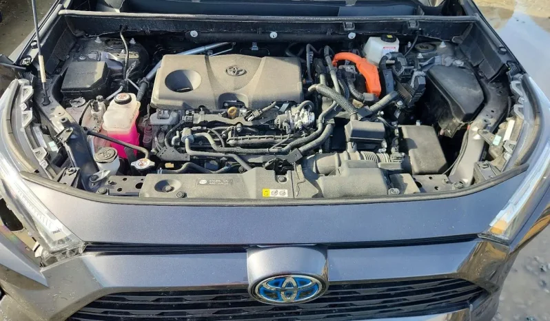 
								Toyota RAV4 full									