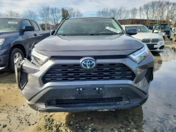 
										Toyota RAV4 full									