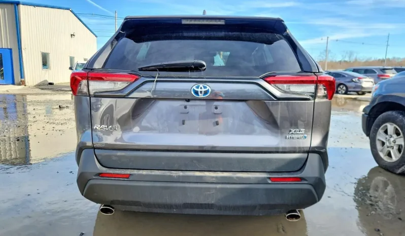 
								Toyota RAV4 full									