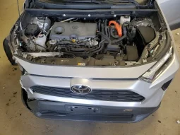 
										Toyota RAV4 full									