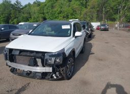 
										Hyundai Santa Fe full									
