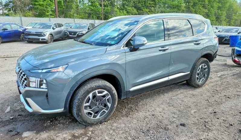 
								Hyundai Santa full									