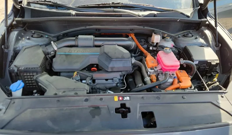 
								Hyundai Santa full									