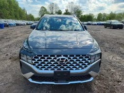 
										Hyundai Santa full									
