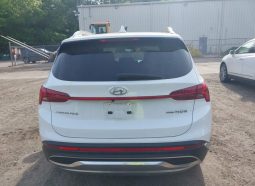 
										Hyundai Santa Fe full									
