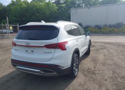 
										Hyundai Santa Fe full									