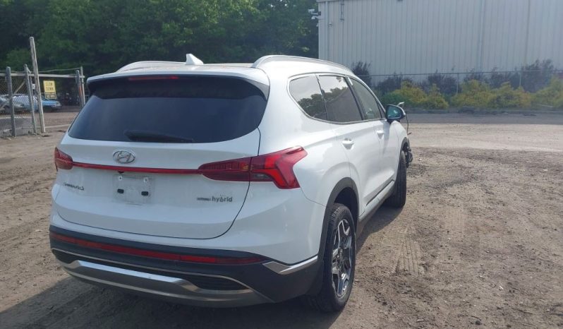 
								Hyundai Santa Fe full									