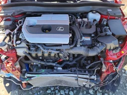 
										Lexus UX 250h full									