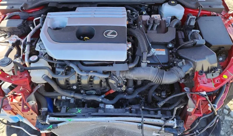 
								Lexus UX 250h full									