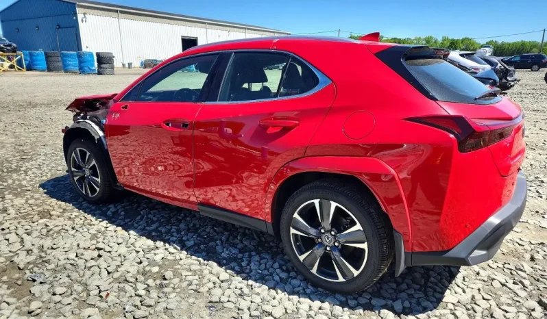 
								Lexus UX 250h full									