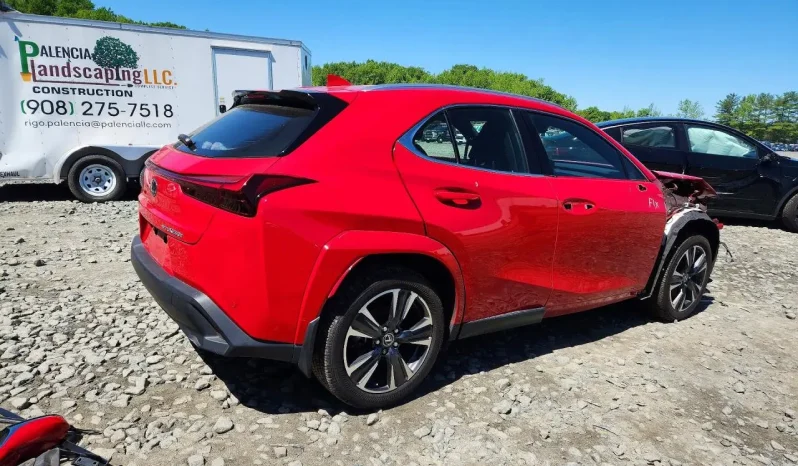 
								Lexus UX 250h full									