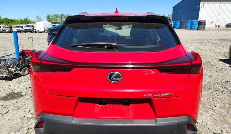
								Lexus UX 250h full									