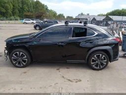 
										Lexus UX 250H full									