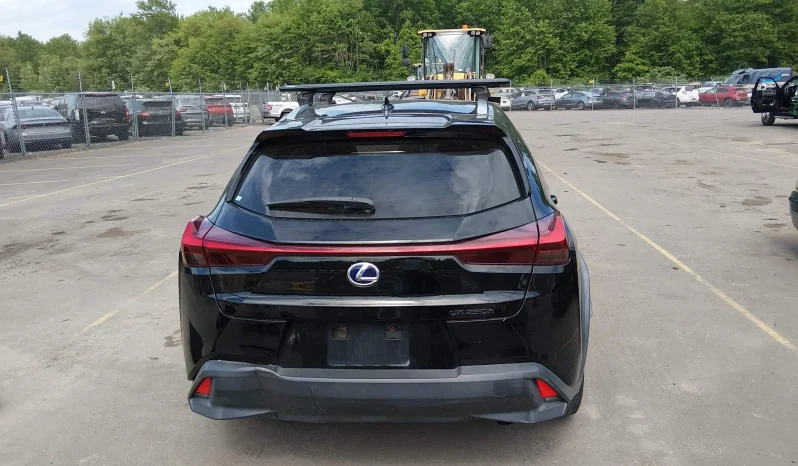 
								Lexus UX 250H full									