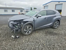 
										Lexus NX full									