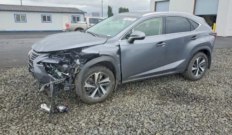
								Lexus NX full									