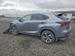 
										Lexus NX full									