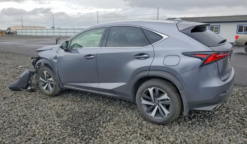 
								Lexus NX full									