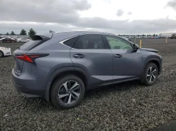 
										Lexus NX full									