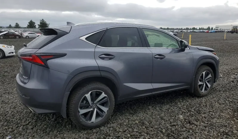 
								Lexus NX full									