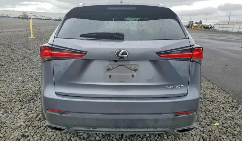 
								Lexus NX full									