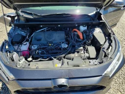 
										Toyota RAV4 full									