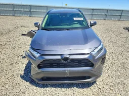 
										Toyota RAV4 full									