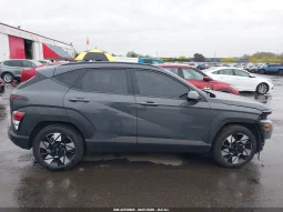 
										Hyundai Kona full									