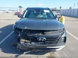 
										Hyundai Tucson full									