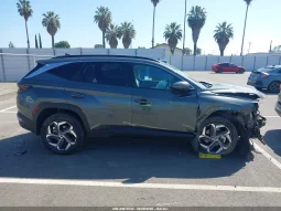 
										Hyundai Tucson full									