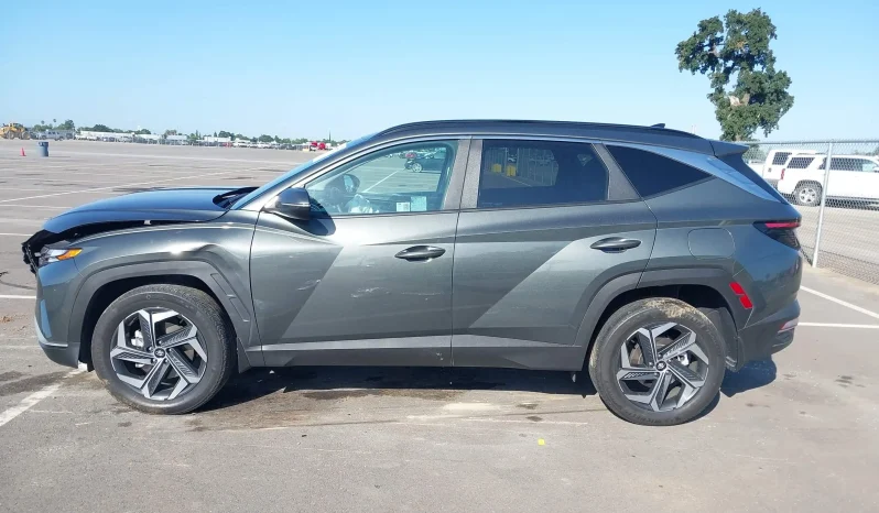 
								Hyundai Tucson full									