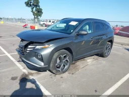 
										Hyundai Tucson full									